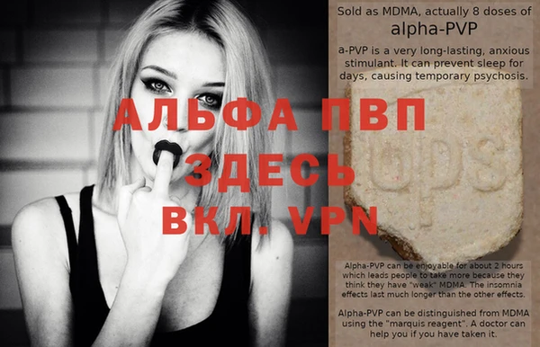 гашик Верея