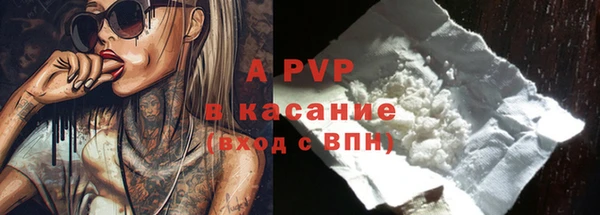 гашик Верея