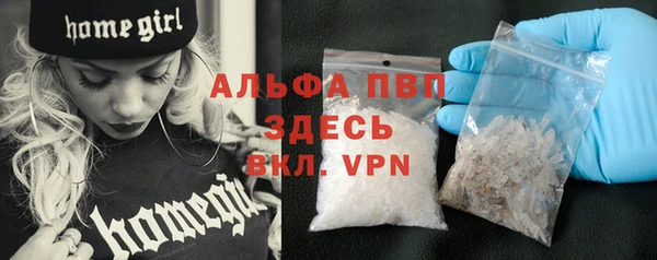 гашик Верея